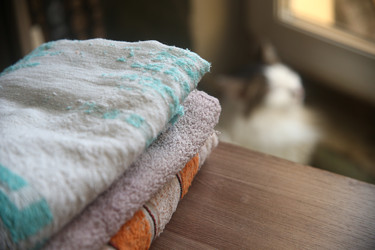 Similar image 22424794