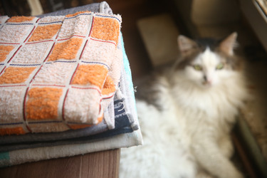 Similar image 22424795