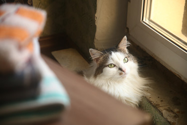 Similar image 22425199