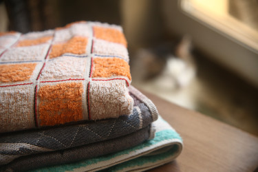 Similar image 22424827