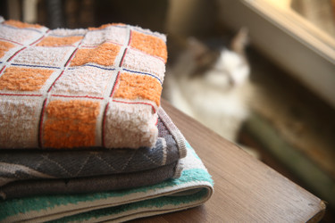 Similar image 22424841