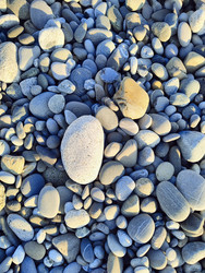 Similar image 22425641