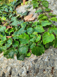 Similar image 22425642