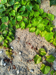 Similar image 22425646