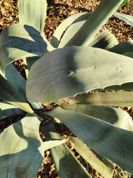 Similar image 22425649