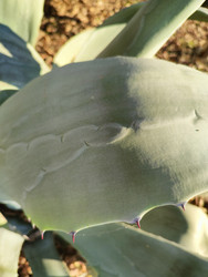 Similar image 22425650