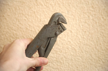 Similar image 22424854