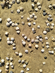 Similar image 22425651