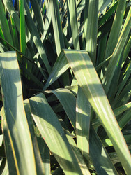 Similar image 22425653