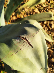 Similar image 22425654