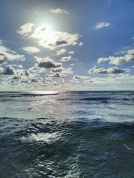 Similar image 22425655