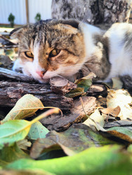 Similar image 22425657