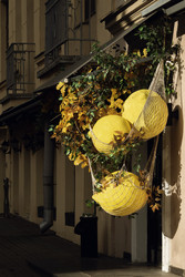 Similar image 22419068