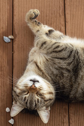 Similar image 22419069