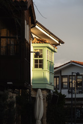 Similar image 22419080