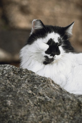 Similar image 22419081