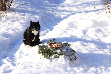 Similar image 22419087