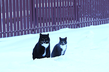 Similar image 22419088