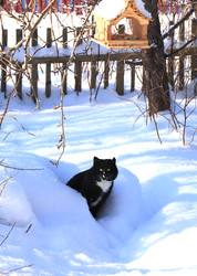 Similar image 22419089