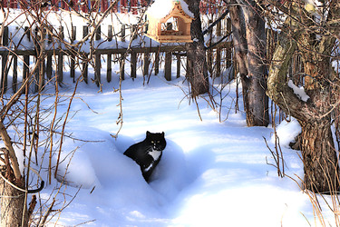 Similar image 22419090