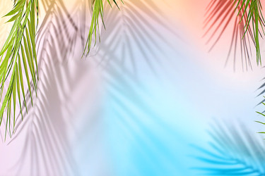 Similar image 22419091