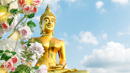 Similar image 22443909