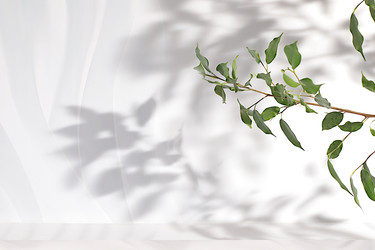 Similar image 22419092