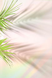 Similar image 22419093