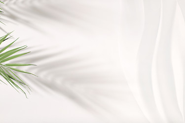 Similar image 22419105