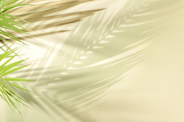 Similar image 22419106