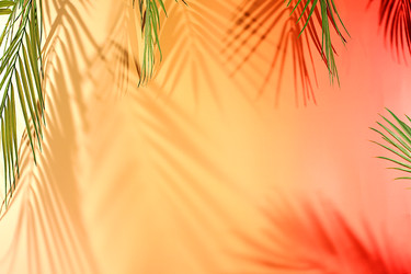 Similar image 22419107