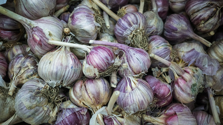 Similar image 22419323