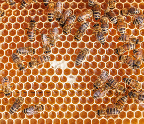 Similar image 22419333