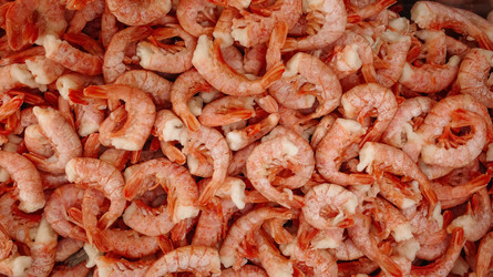 Similar image 22419336