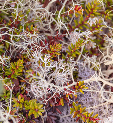 Similar image 22419342