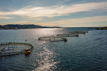 Similar image 22423006