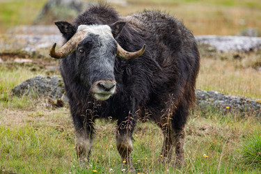 Similar image 22423009