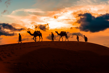 Similar image 22423012