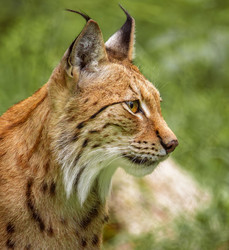 Similar image 22423014