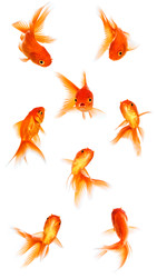 Similar image 22423017