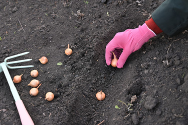 Similar image 22431731