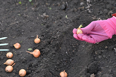 Similar image 22431746