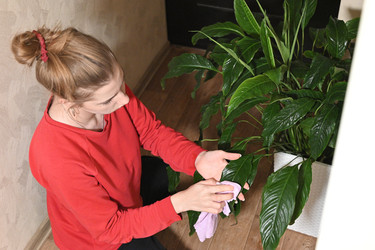 Similar image 22431747