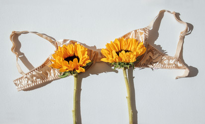 Similar image 22466110