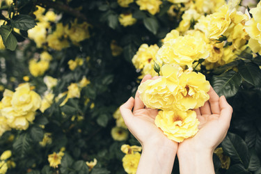 Similar image 22466129