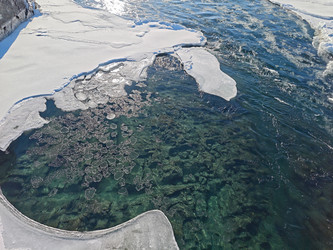 Similar image 22425066