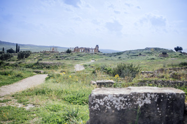 Similar image 22466231