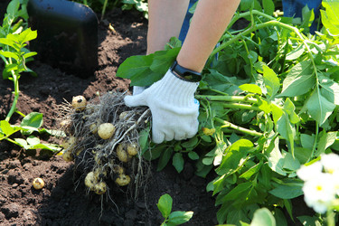 Similar image 22443129