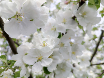 Similar image 22460743