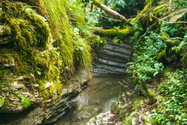 Similar image 22426902